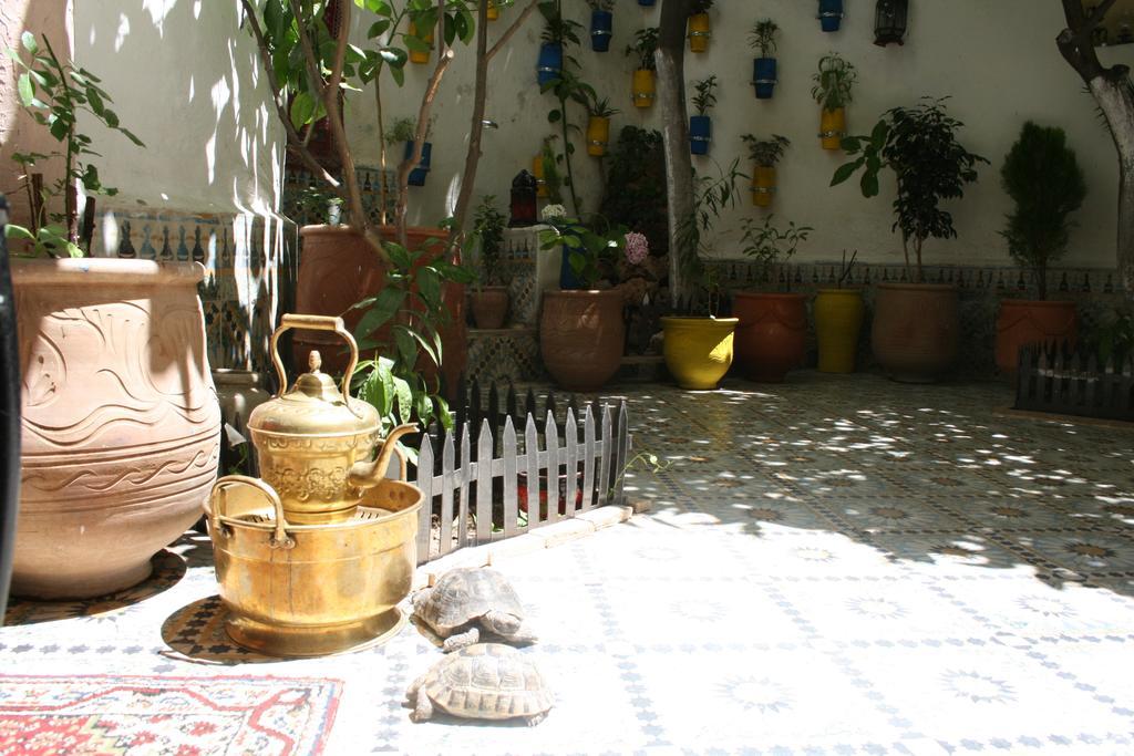 Riad Lalla Fatima 3*
