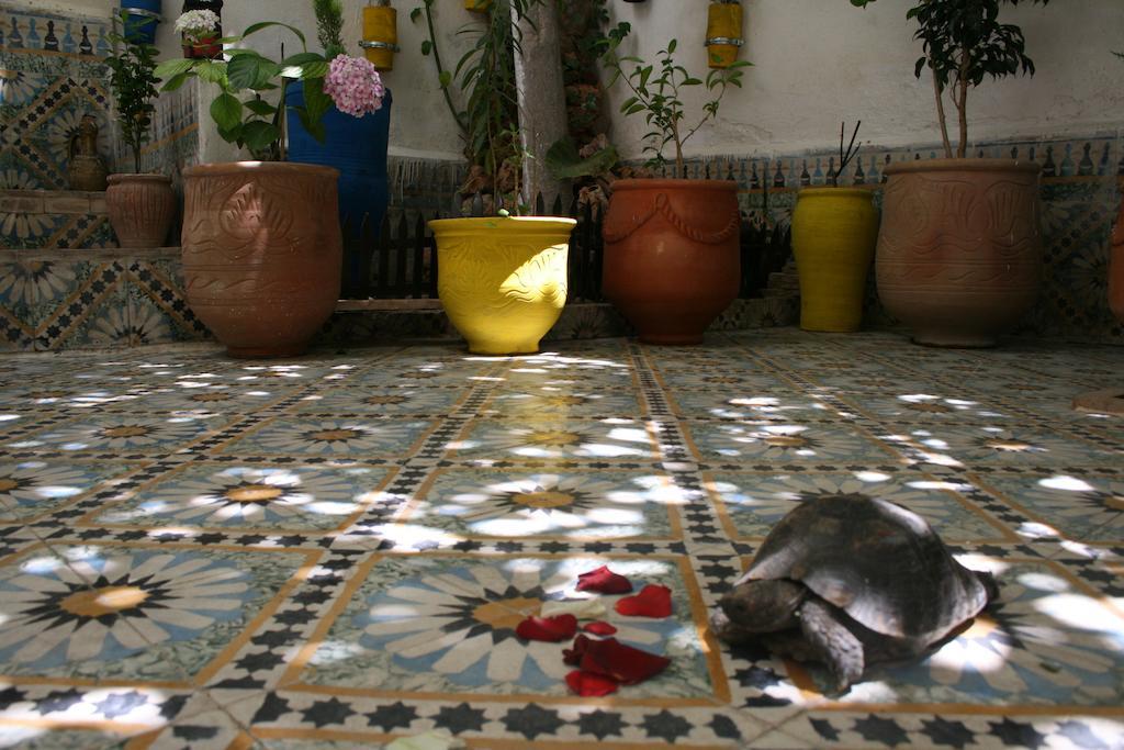 Lalla Fatima Fez