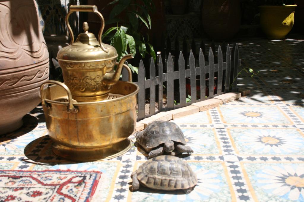 Lalla Fatima